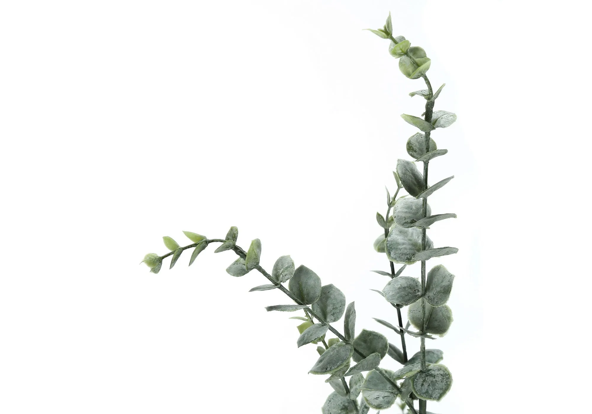 44" Tall, Artificial Plant, Eucalyptus Tree, Indoor, Faux, Fake, Floor, Greenery, Potted, Real Touch, Decorative - Green / Black by Couch.com
